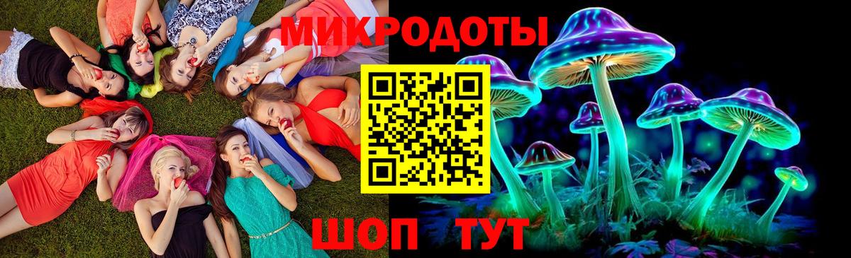 Галлюциногенные грибы Psilocybine cubensis Карталы